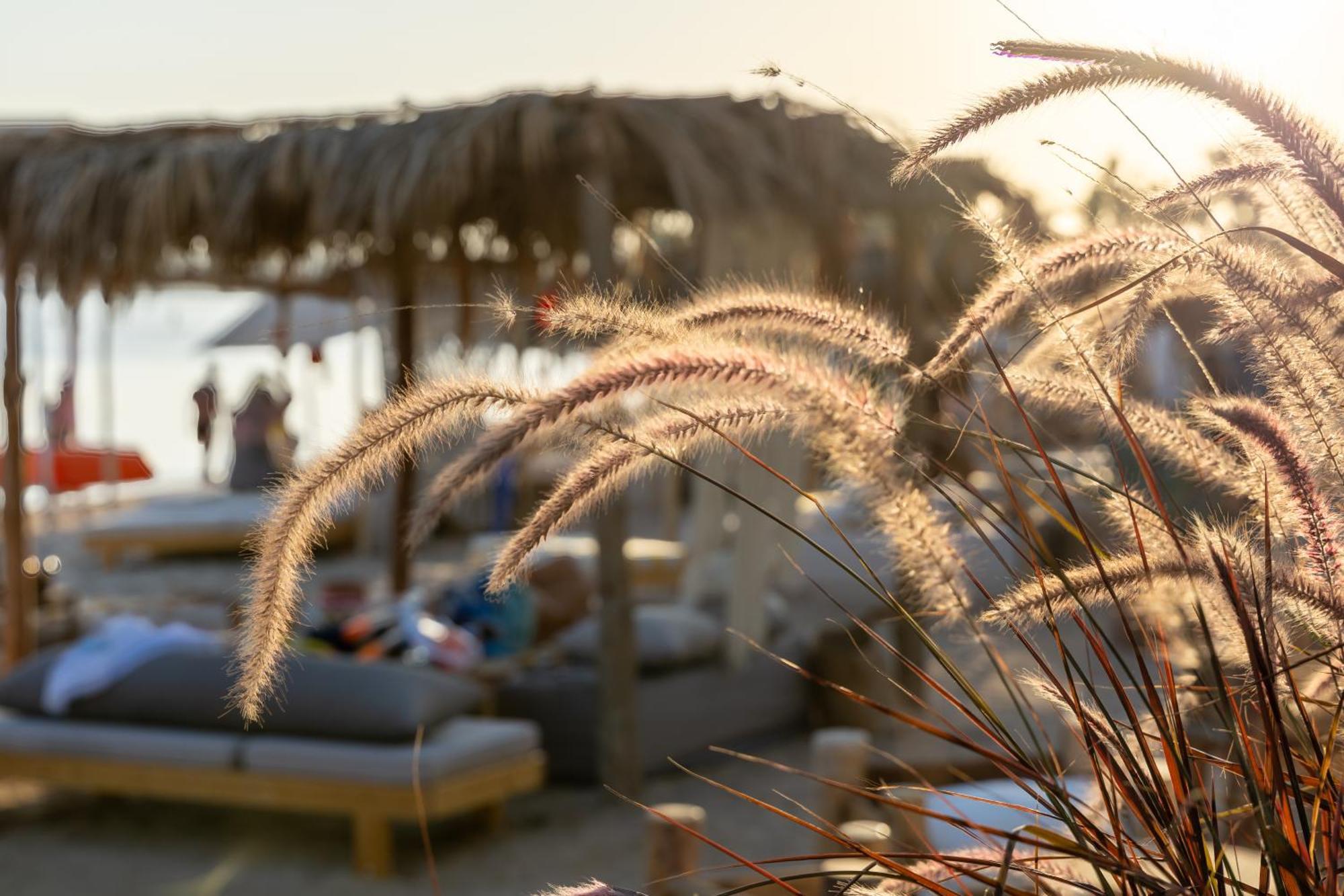 Fort Arabesque Resort, Spa & Villas Hurghada Esterno foto