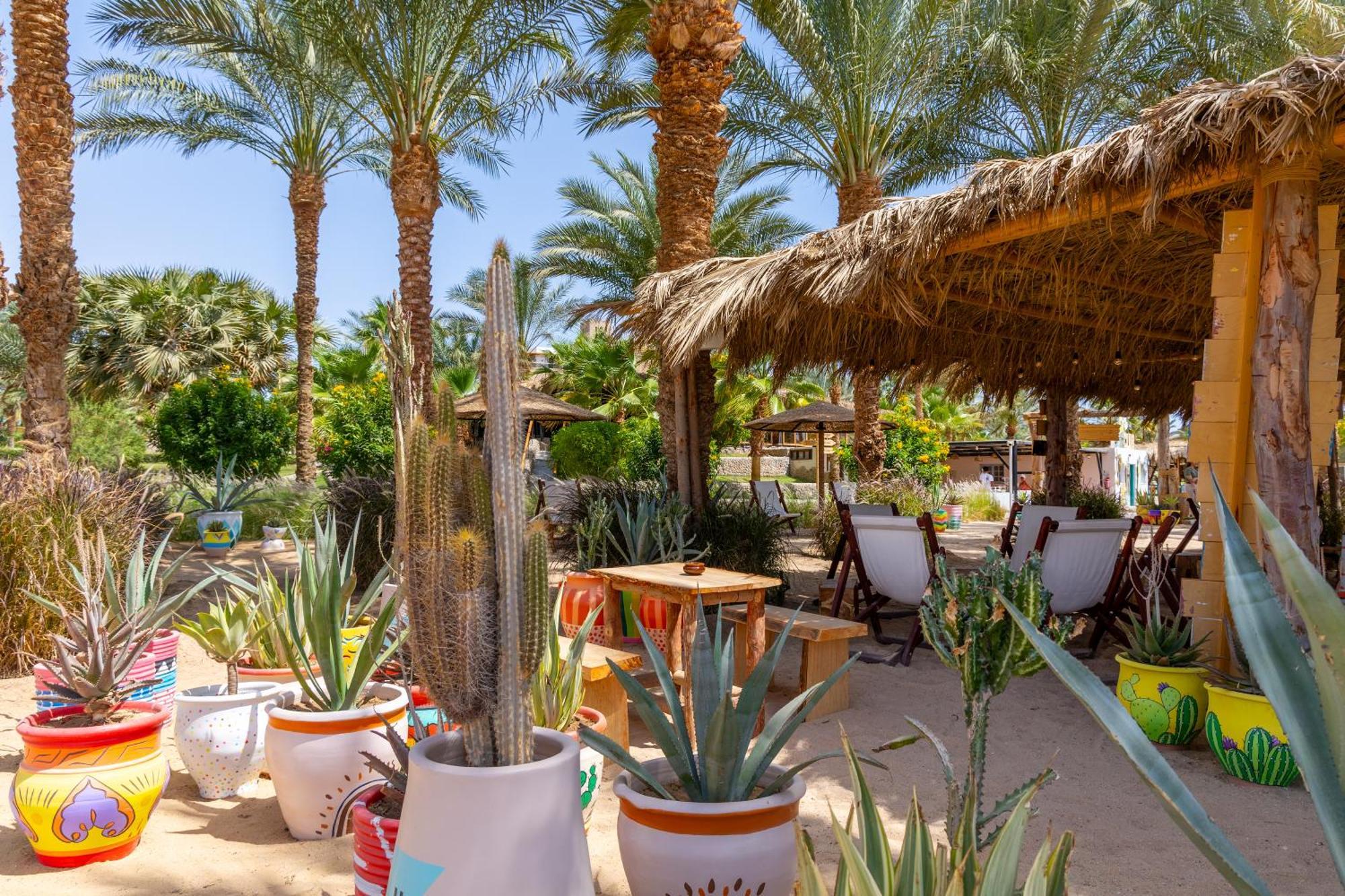 Fort Arabesque Resort, Spa & Villas Hurghada Esterno foto